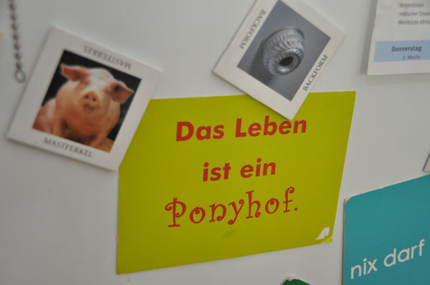 Pinnwand mit Aufschrift "Das Leben ist ein Ponyhof."